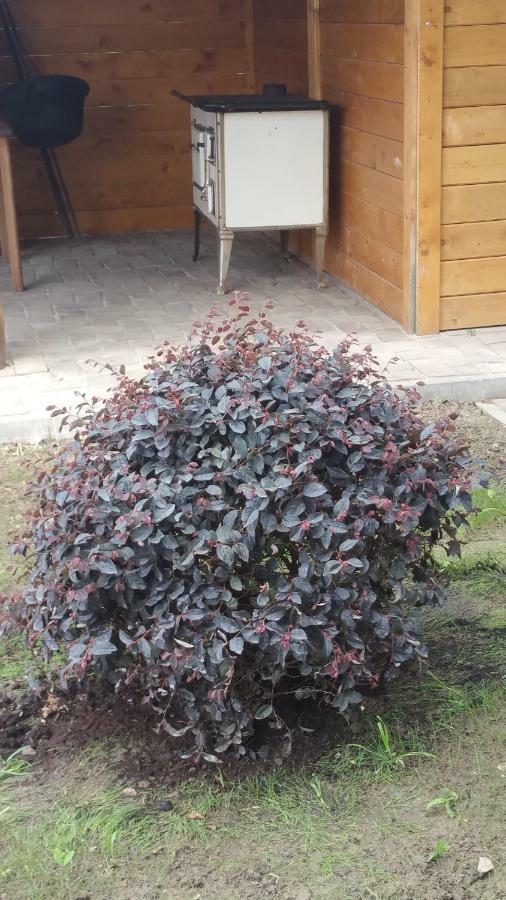 Élő Tisza Vendégház Nagykoru Esterno foto